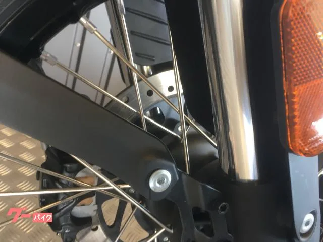 ROYAL ENFIELD 450 ETC2.0 2024 — миниатюра 4