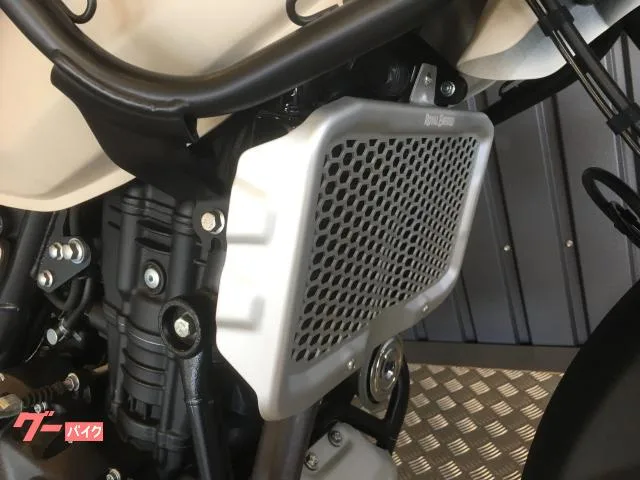 ROYAL ENFIELD 450 ETC2.0 2024 — миниатюра 5
