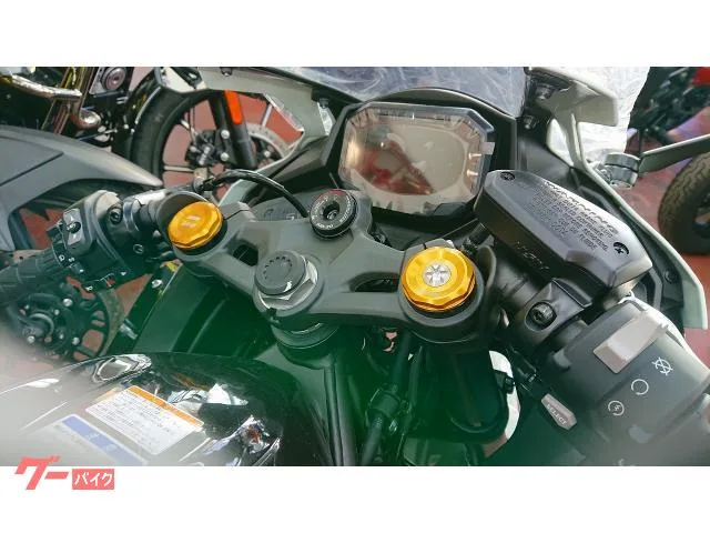Kawasaki Ninja ZX-4R SE 26 2025 — миниатюра 2