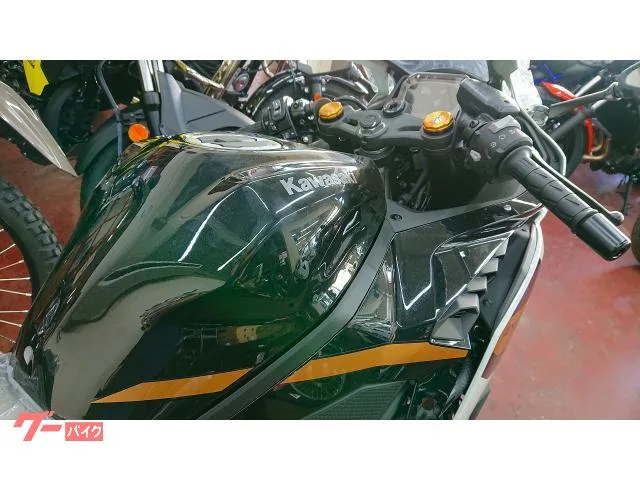Kawasaki Ninja ZX-4R SE 26 2025 — миниатюра 3