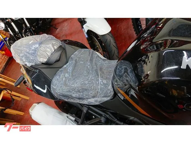 Kawasaki Ninja ZX-4R SE 26 2025 — миниатюра 4