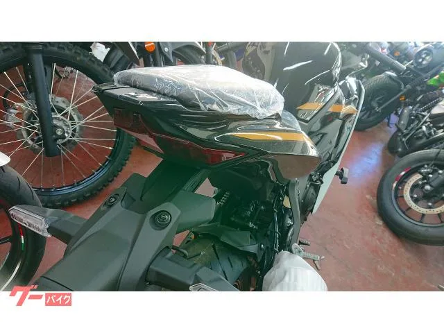 Kawasaki Ninja ZX-4R SE 26 2025 — миниатюра 5
