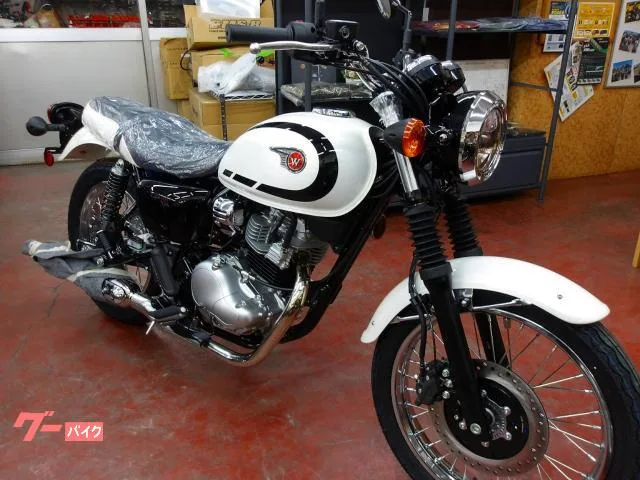 Kawasaki W230 2025 2025 — фото 1, купить с доставкой в Москву