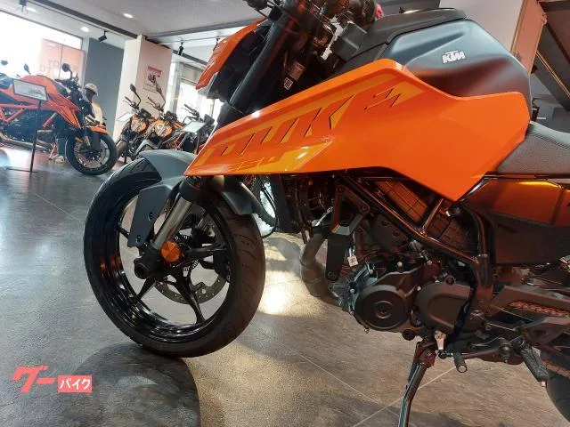KTM 250 2024 2024 — миниатюра 3