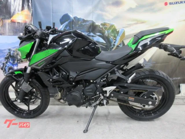 Kawasaki Z250 EX250Y 2023 — миниатюра 2