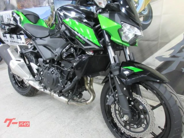 Kawasaki Z250 EX250Y 2023 — миниатюра 3