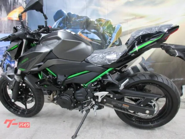 Kawasaki Z250 EX250Y 2024 — миниатюра 2