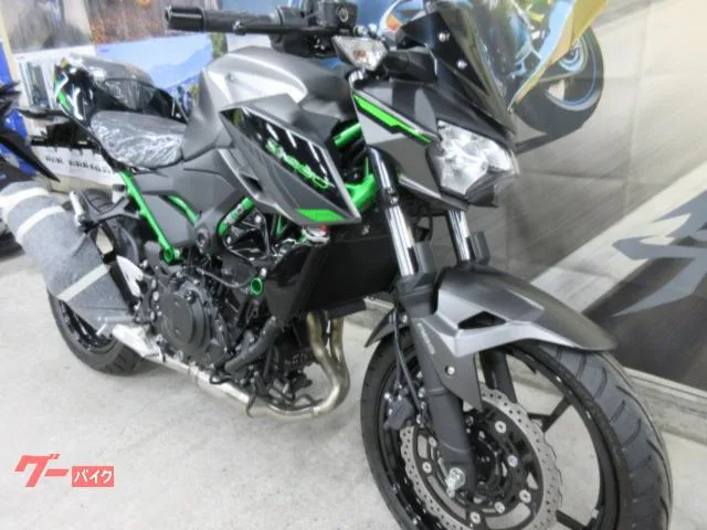 Kawasaki Z250 EX250Y 2024 — миниатюра 3