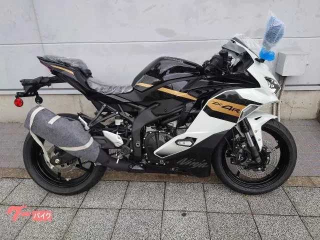 Kawasaki Ninja ZX-4R SE USB 2026 — миниатюра 2