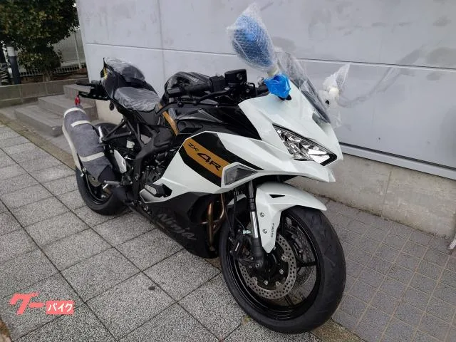 Kawasaki Ninja ZX-4R SE USB 2026 — миниатюра 3