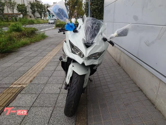 Kawasaki Ninja ZX-4R SE USB 2026 — миниатюра 5