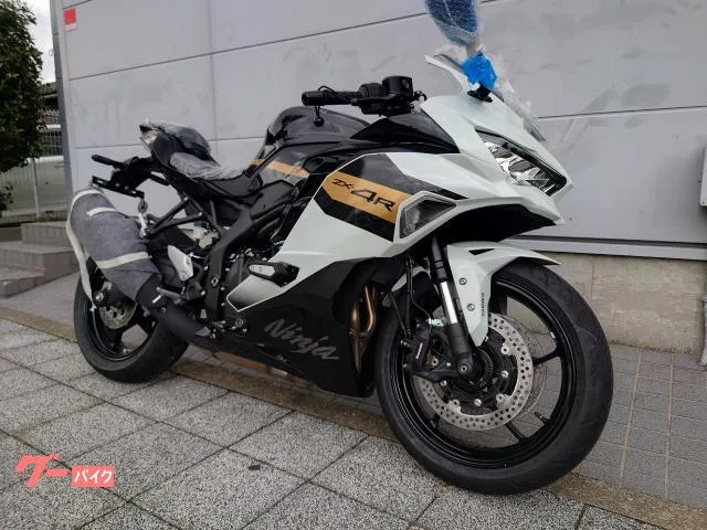 Kawasaki Ninja ZX-4R SE USB 2026 — фото 1, купить с доставкой в Москву
