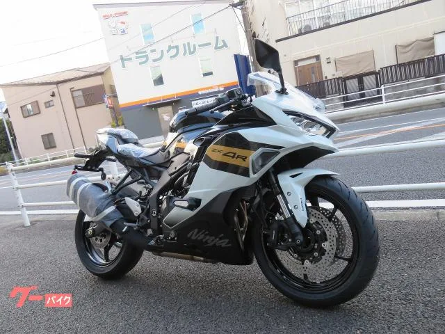 Kawasaki Ninja ZX-4R SE 2026 2026 — миниатюра 2