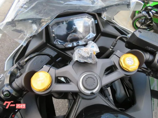 Kawasaki Ninja ZX-4R SE 2026 2026 — миниатюра 4
