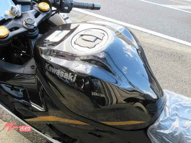 Kawasaki Ninja ZX-4R SE 2026 2026 — миниатюра 5