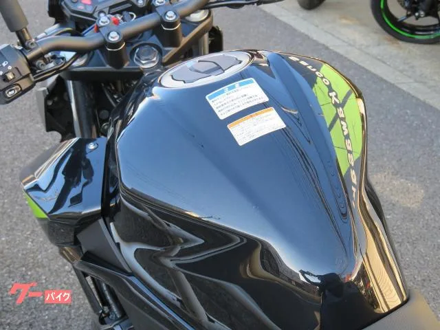 Kawasaki Z250 GIVITOP 2022 — миниатюра 5