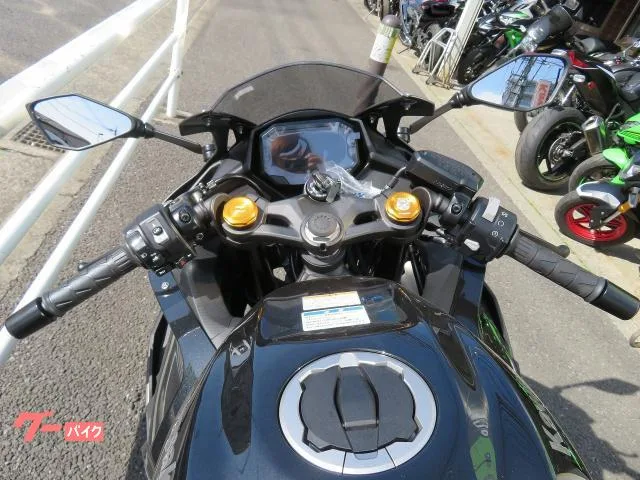 Kawasaki Ninja ZX-4R SE 2026 2026 — миниатюра 4