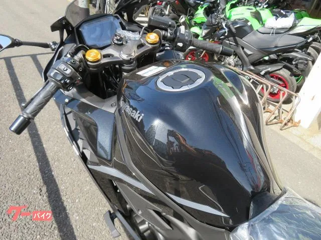 Kawasaki Ninja ZX-4R SE 2026 2026 — миниатюра 5