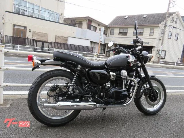 Kawasaki W800 EG 2022 — миниатюра 3