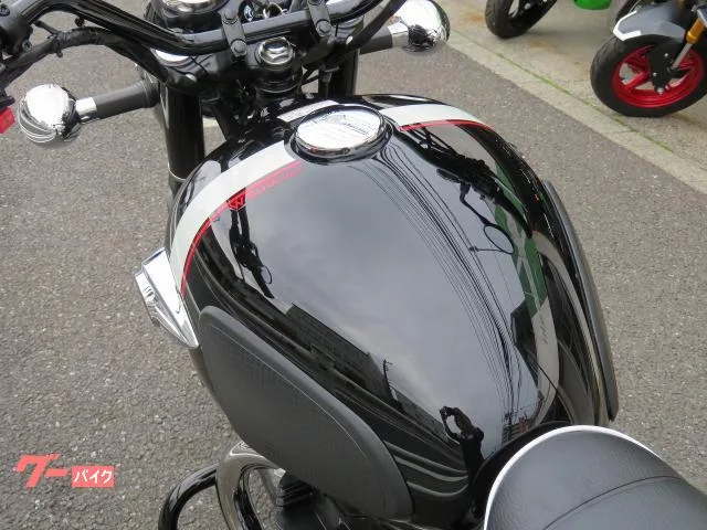 Kawasaki W800 EG 2022 — миниатюра 5