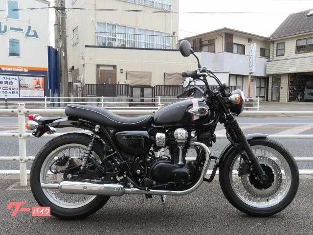 Kawasaki W800 EG 2022 — фото 1, купить с доставкой в Москву