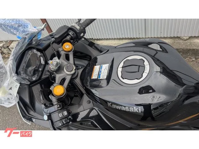 Kawasaki Ninja ZX-4R SE 2025 — миниатюра 2