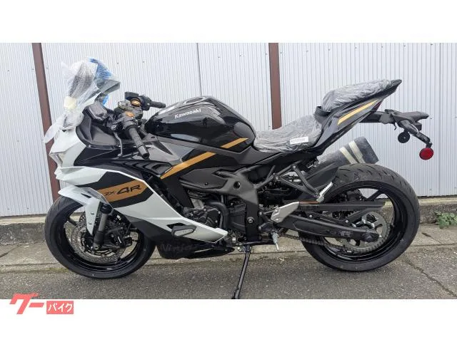Kawasaki Ninja ZX-4R SE 2025 — миниатюра 4