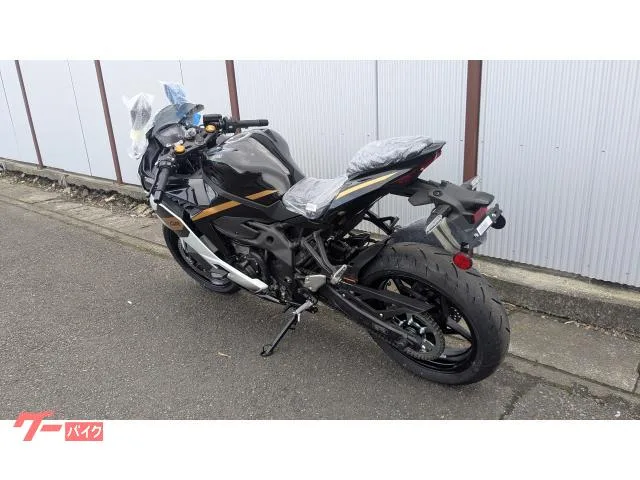 Kawasaki Ninja ZX-4R SE 2025 — миниатюра 5
