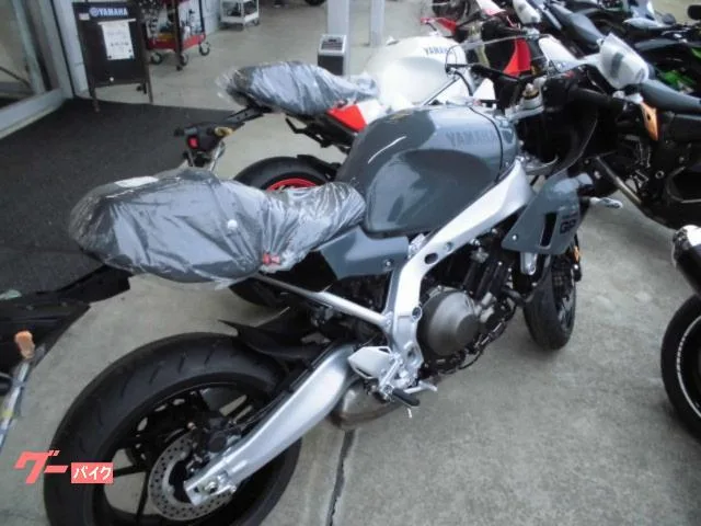 Yamaha XSR900GP. 2024 — миниатюра 4