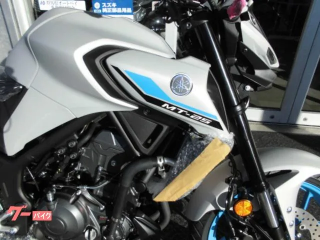 Yamaha MT-25 ABS 2025 2025 — миниатюра 2