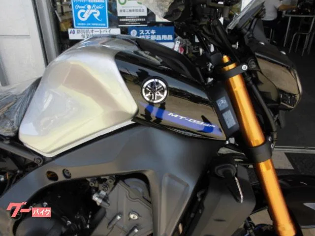 Yamaha MT-09SP 2022 2022 — миниатюра 2