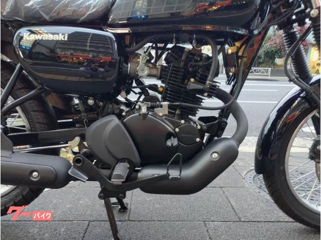 Kawasaki W175 ABS 2024 CDI 3 2024 — миниатюра 3