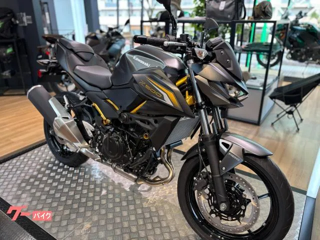 Kawasaki Z500 2026 — миниатюра 2
