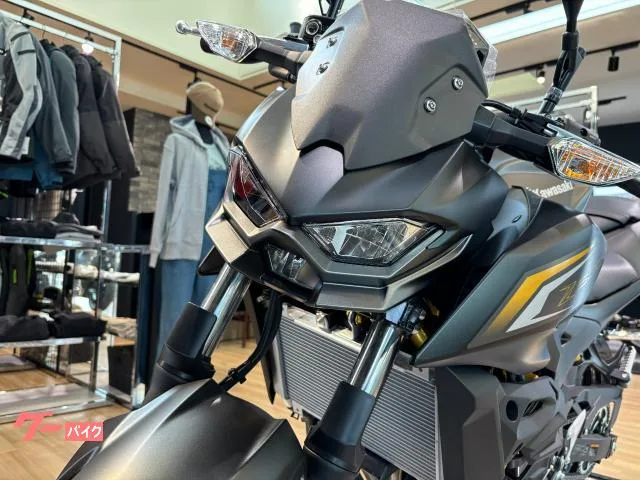 Kawasaki Z500 2026 — миниатюра 3
