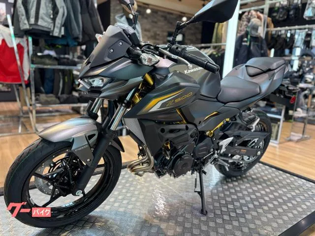 Kawasaki Z500 2026 — миниатюра 4
