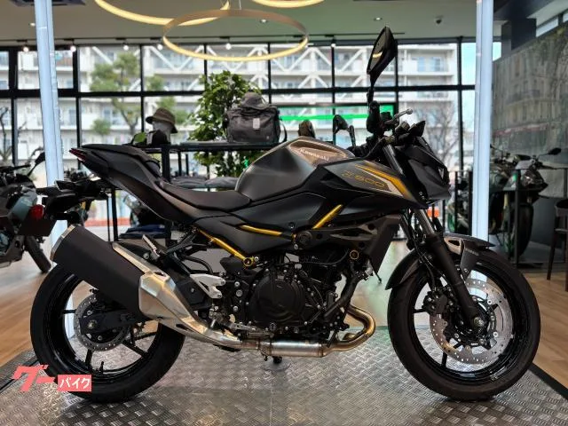 Kawasaki Z500 2026 — фото 1, купить с доставкой в Москву