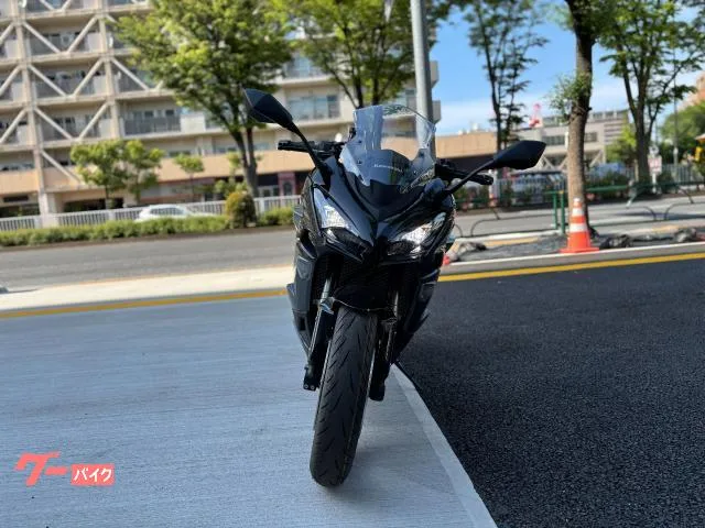 Kawasaki Ninja 1000 SX ETC2.0 2024 — миниатюра 3