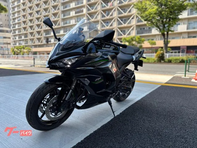 Kawasaki Ninja 1000 SX ETC2.0 2024 — миниатюра 4