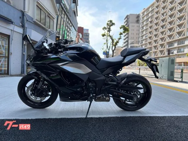 Kawasaki Ninja 1000 SX ETC2.0 2024 — миниатюра 5