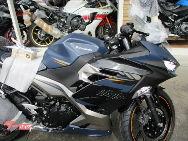 Kawasaki Ninja 250 2023 — миниатюра 2