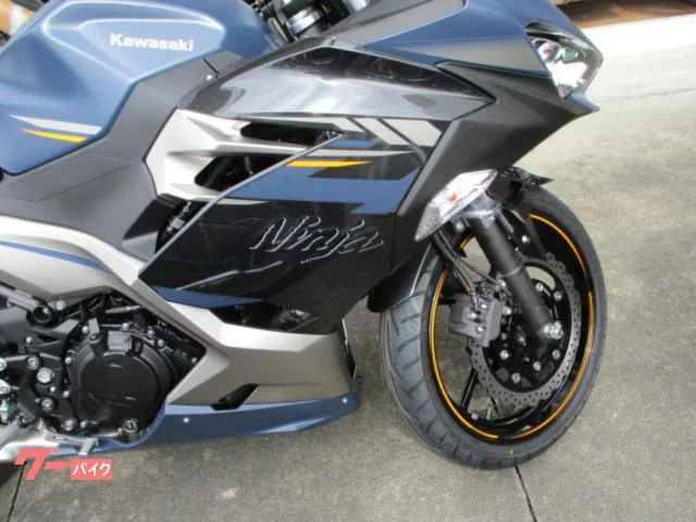 Kawasaki Ninja 250 2023 — миниатюра 4