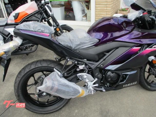 Yamaha YZF-R25 2023 2023 — миниатюра 2