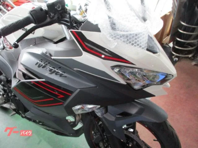Kawasaki Ninja 400 2024 2024 — миниатюра 2