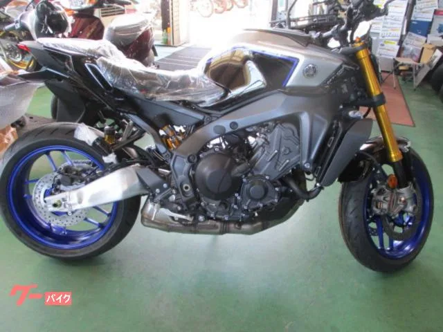 Yamaha MT-09SP2024 2024 — фото 1, купить с доставкой в Москву