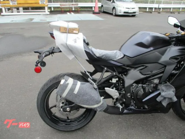 Kawasaki Ninja ZX-25R SE2025 2025 — миниатюра 2