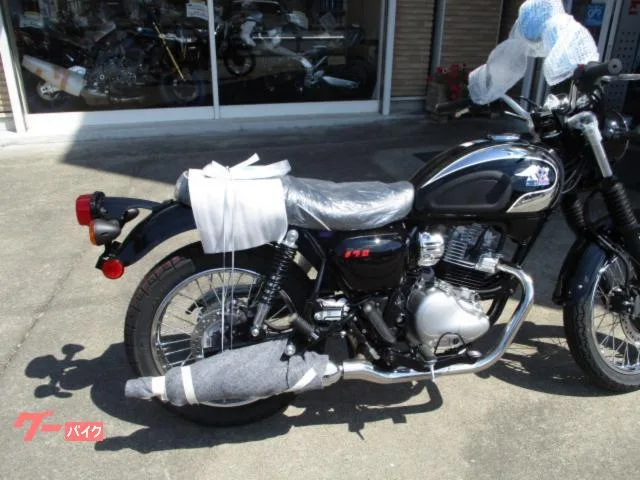 Kawasaki S1 2026 2026 — миниатюра 2