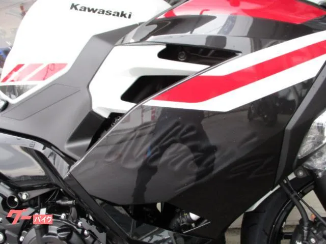 Kawasaki Ninja 4002026 2026 — миниатюра 3