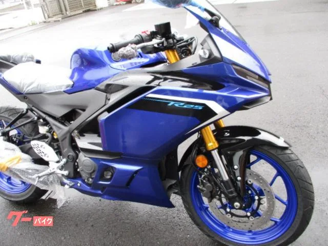 Yamaha YZF-R25 2025 2025 — миниатюра 3