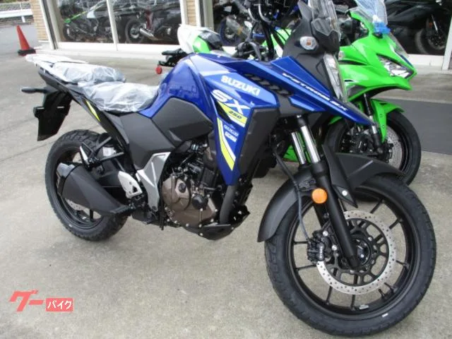 Suzuki V- 250SX 2026 2026 — миниатюра 3