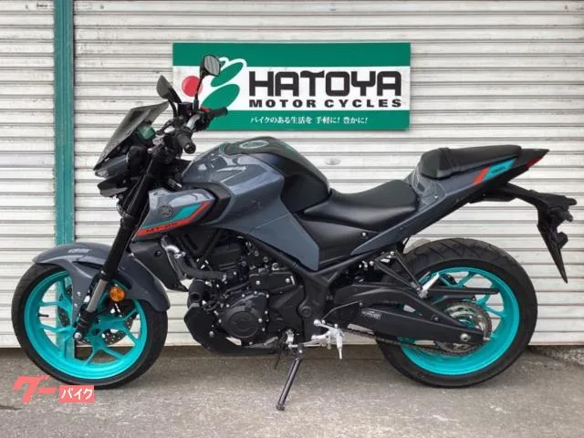 Yamaha MT-25 ETC 2022 — миниатюра 2